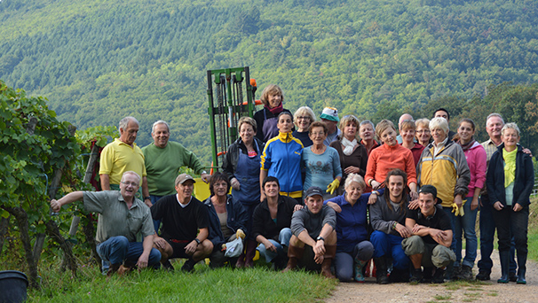 vendangeurs devant les trois-chateaux